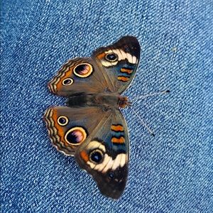 Meet your Posher, Madison